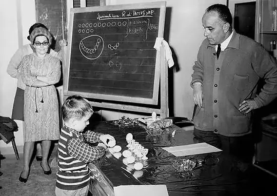 ECE Pioneers